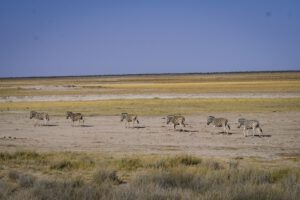 Tipps und Tricks für Namibia
