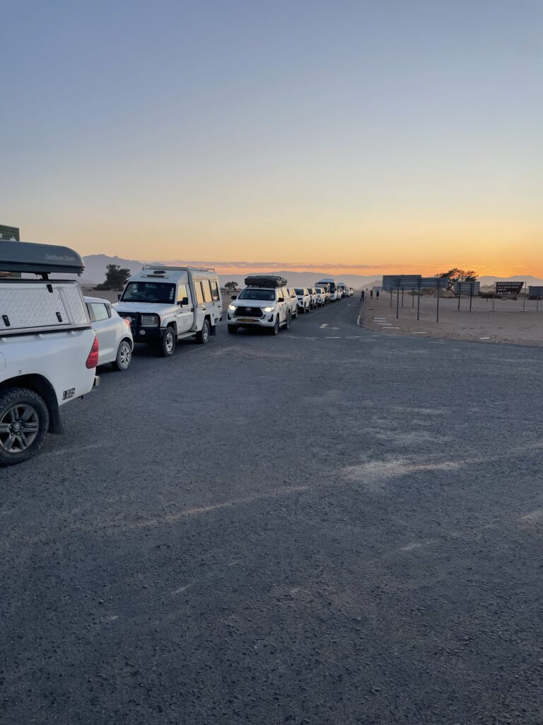 Die Schlange auf dem Weg zum Sossusvlei