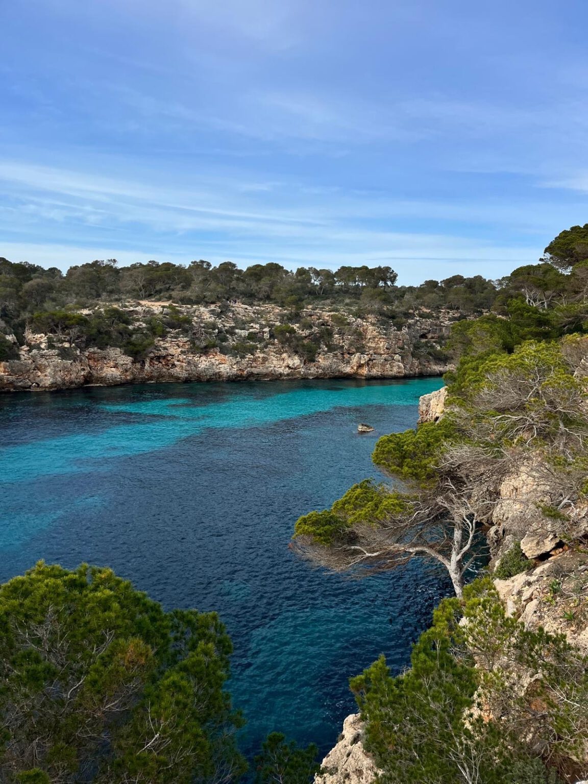Mallorca Im Februar Erfahrungen