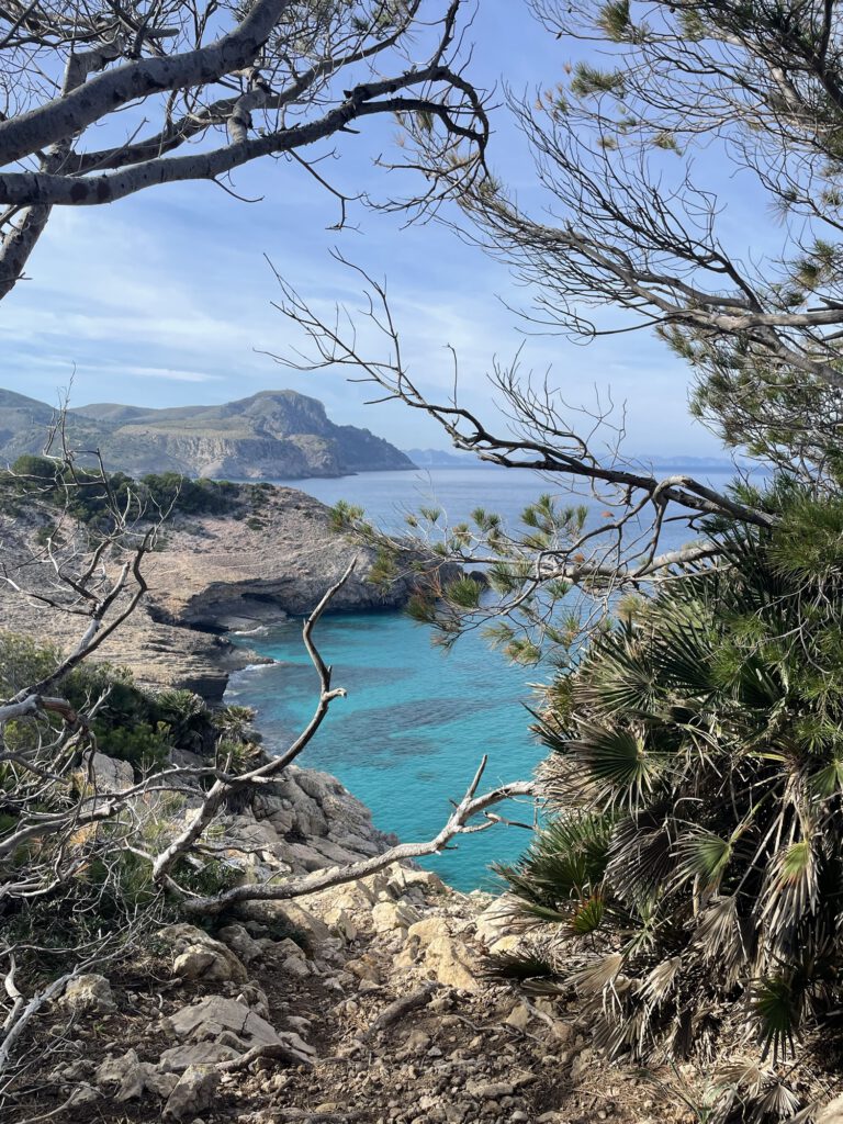 Blick auf die Steilküste im Norden Mallorcas