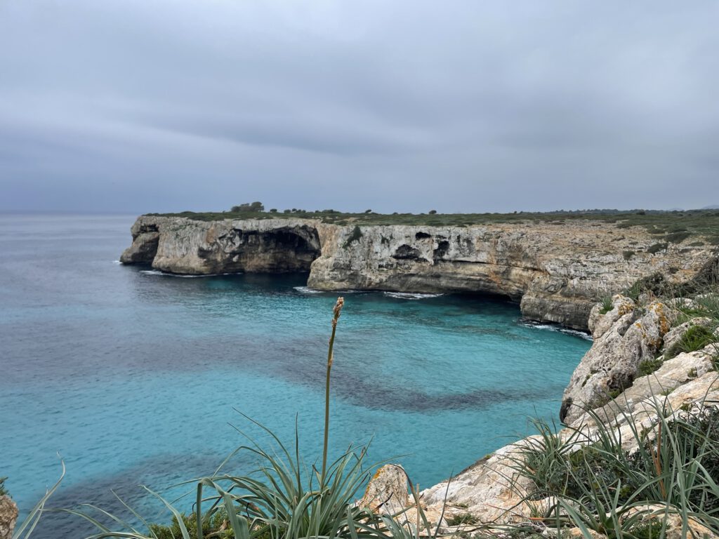 Die Brandungshöhlen vor der Cala Falcó