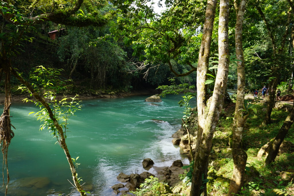 Das türkisblaue Wasser in Semuc Champey